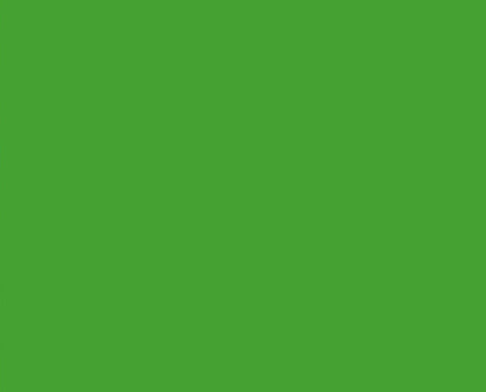 A4 160gsm Kaskad Paper Woodpecker Green x 250's Pack