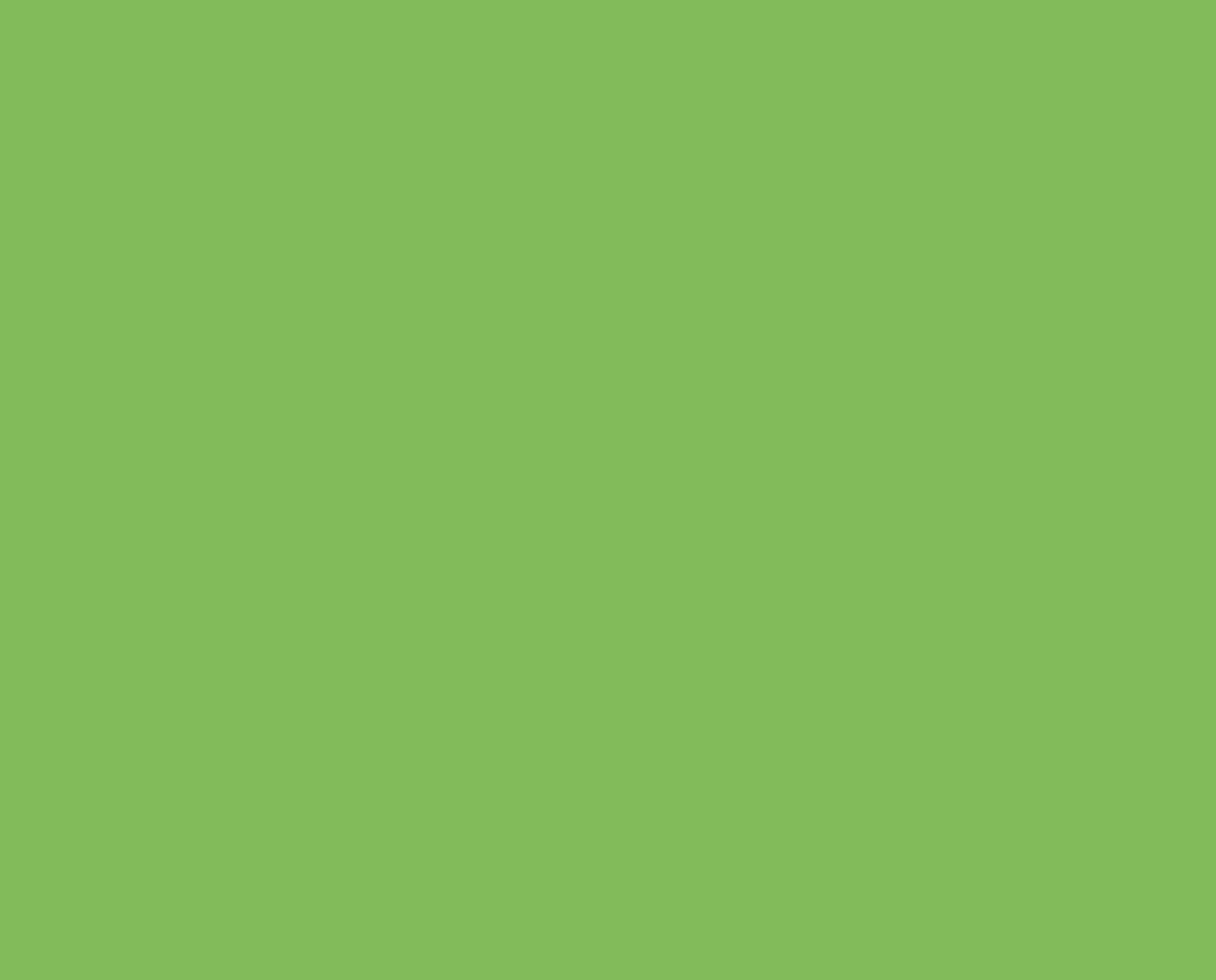 A4 80gsm Kaskad Paper Parakeet Green x 500's Pack